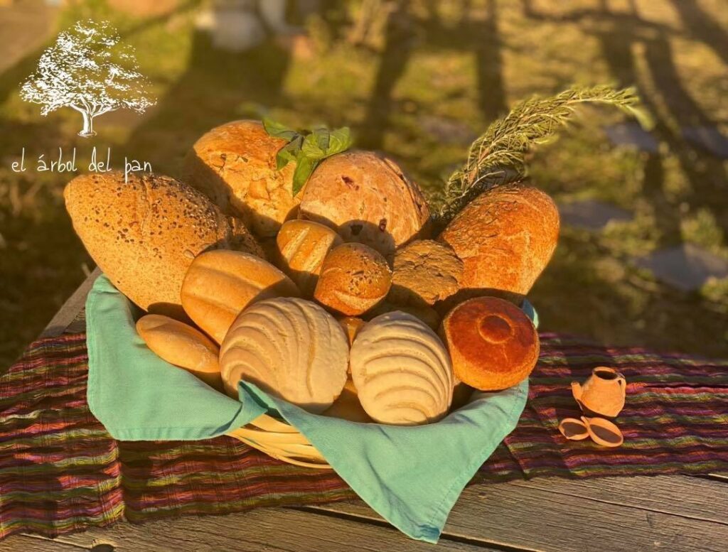 468614652_944799044176843_3412044994704976049_n