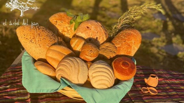 468614652_944799044176843_3412044994704976049_n