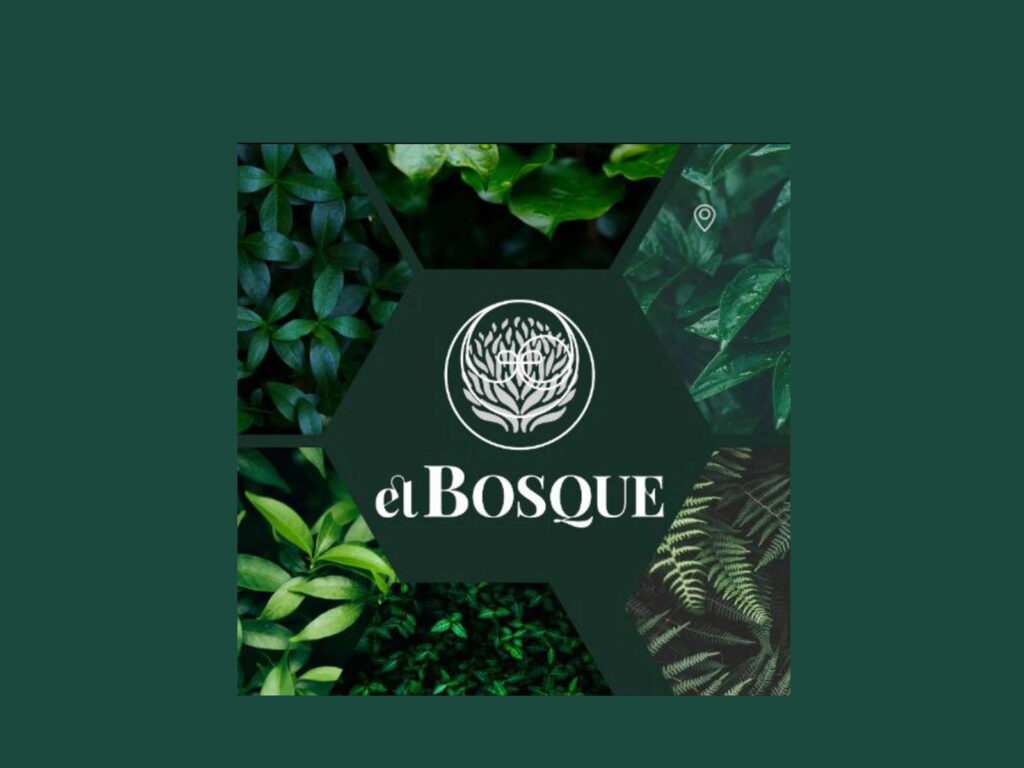 471811464_599388139307282_176234258133454476_n