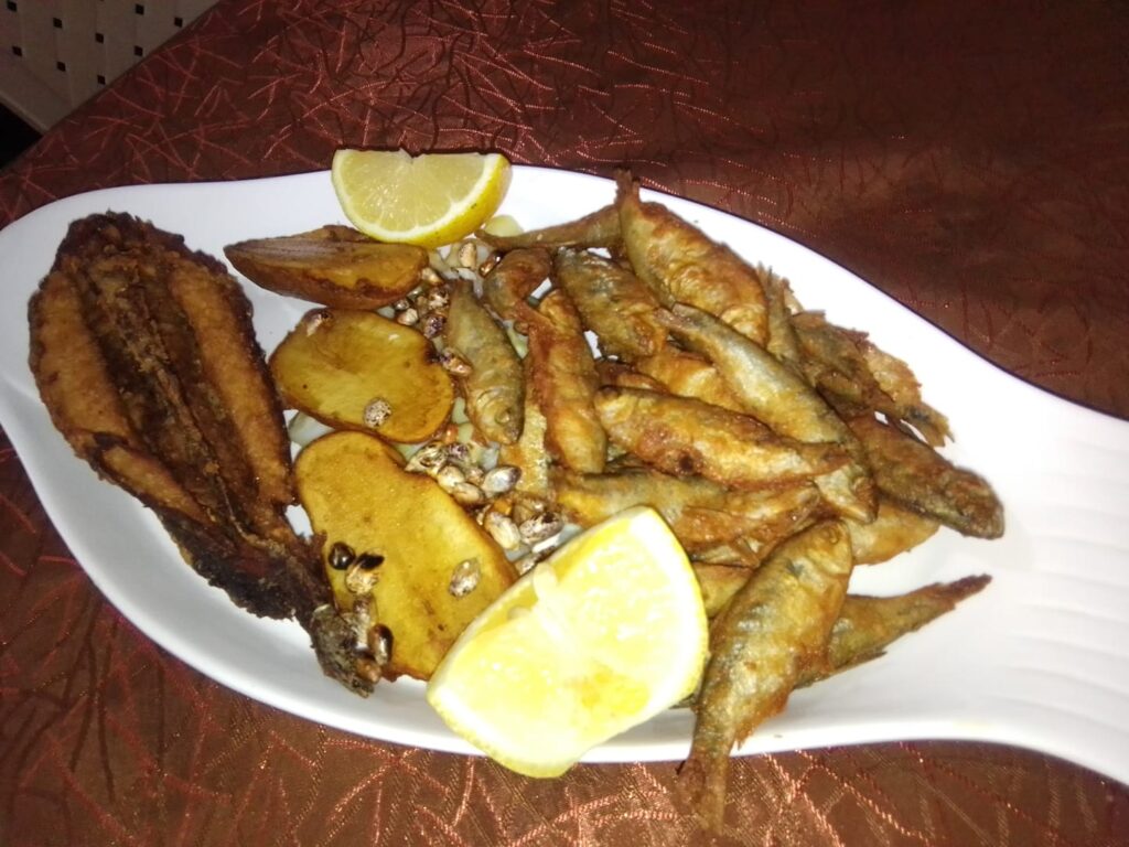 476025213_1408449953617532_8618553019591447930_n