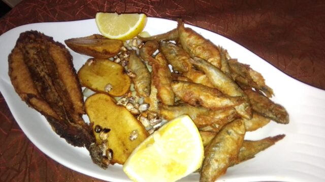 476025213_1408449953617532_8618553019591447930_n