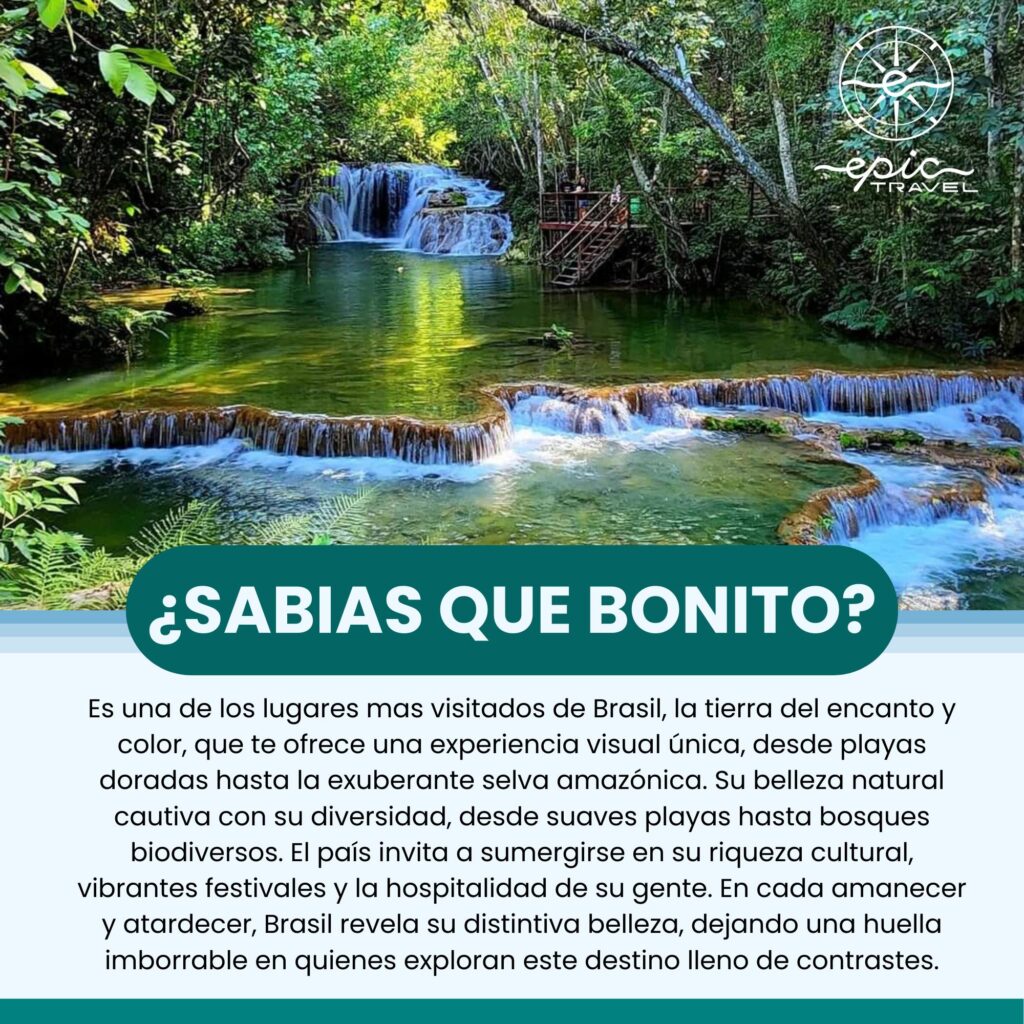 481046814_977263091215124_5207750592523778262_n