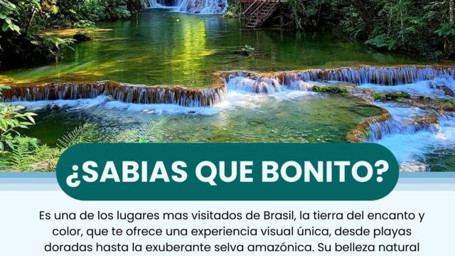 481046814_977263091215124_5207750592523778262_n