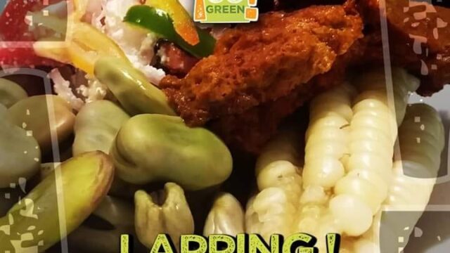 481076883_1203806915079621_6507295239929539245_n