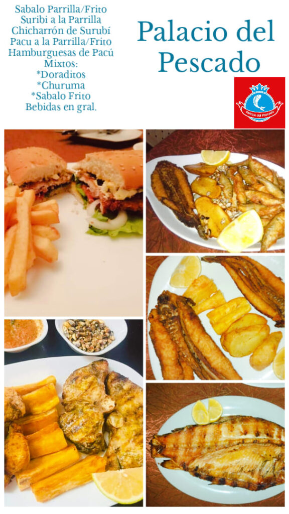 481261042_1424828255313035_5626471026785384403_n