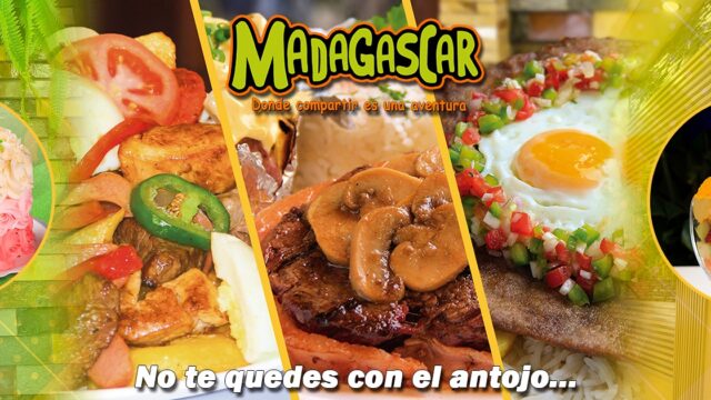 481340633_1187078003425983_7716439843211437994_n