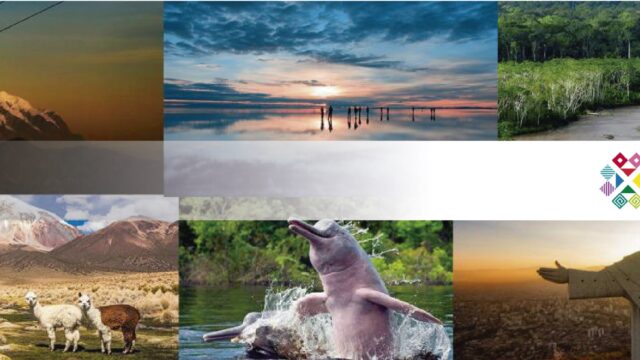 481961838_1195561389236487_4343482080936953803_n