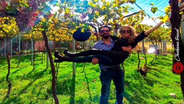 482031293_621238124218749_392827034297971643_n