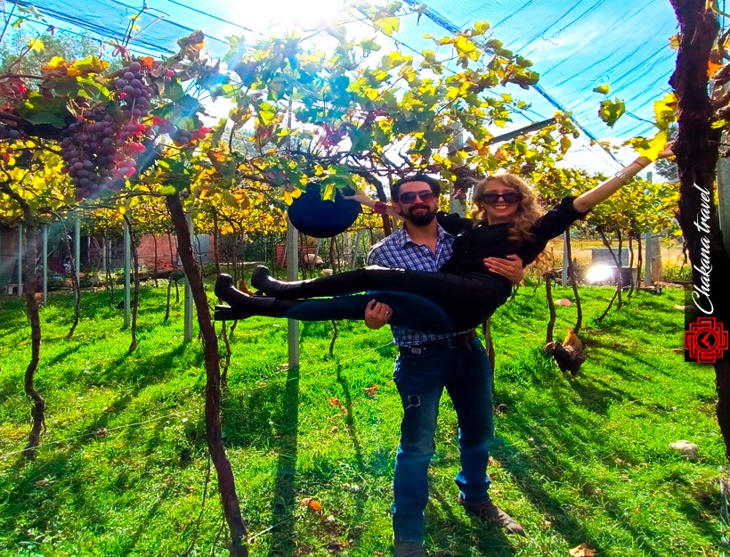 482031293_621238124218749_392827034297971643_n