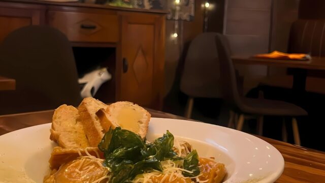 482083902_667359965626290_2092296292809959796_n