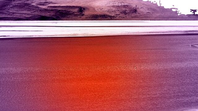 482219102_122143984334444623_8358437976993516048_n