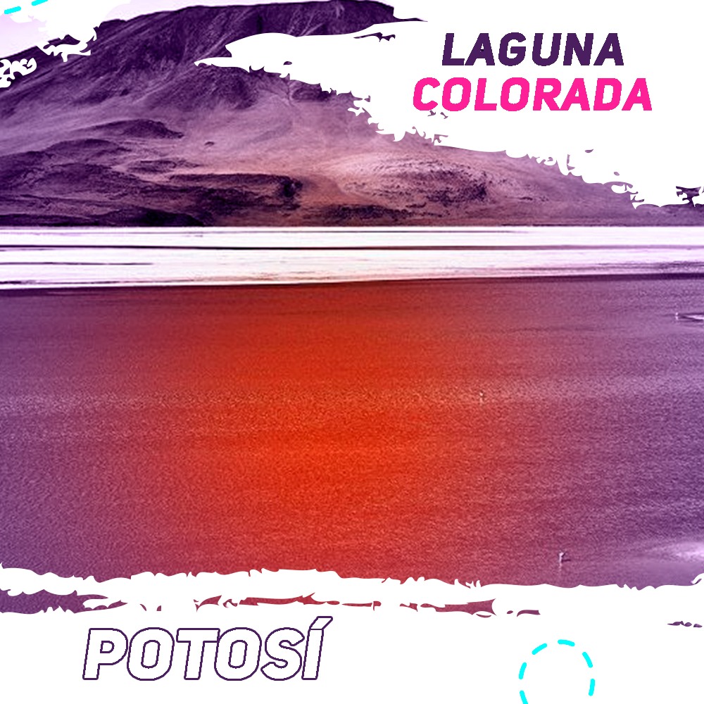 482219102_122143984334444623_8358437976993516048_n