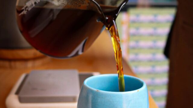 485614492_17959392146868321_4244959384899501064_n