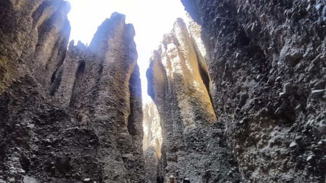 485728272_674294088714469_2462110744740133060_n