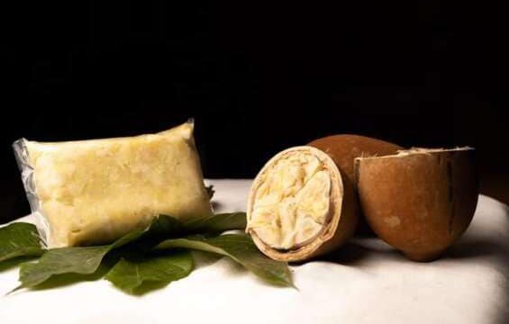 485759541_1255055733286739_6830902329440695334_n