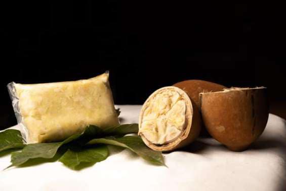 485759541_1255055733286739_6830902329440695334_n