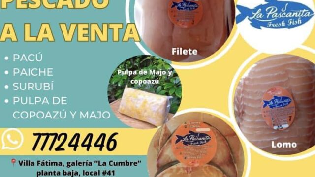 486072258_1255965523195760_6008724622229388640_n