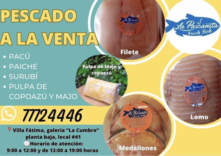 486072258_1255965523195760_6008724622229388640_n