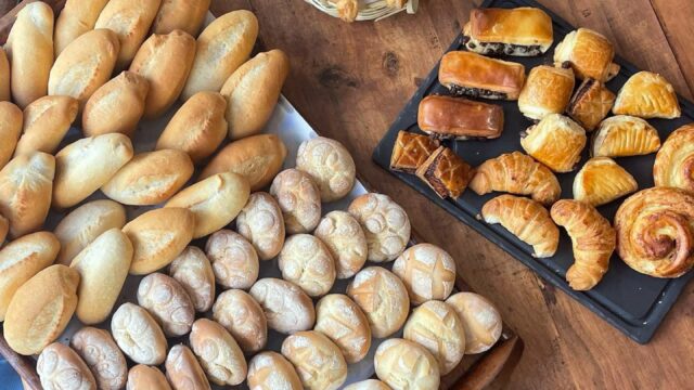 486551987_1073175268159948_1688638656797834134_n