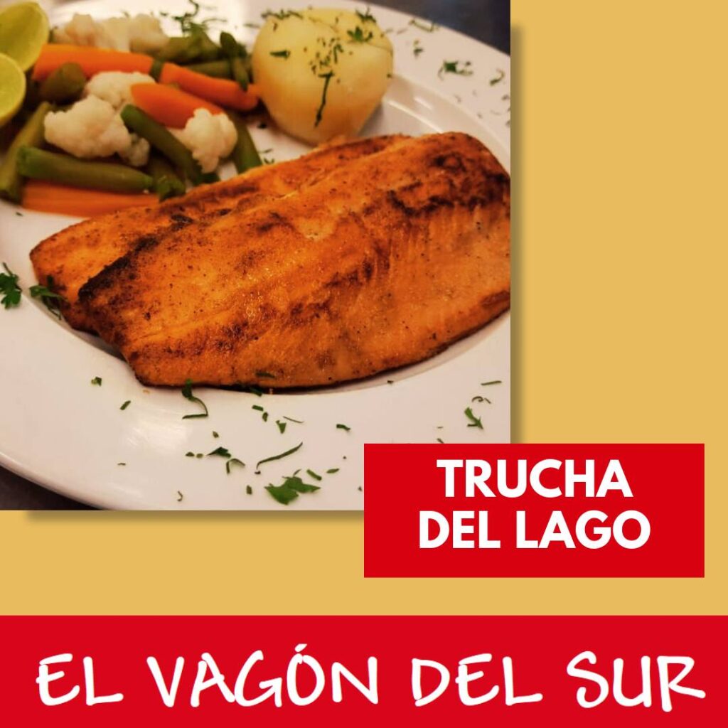 486799228_971114358543690_6874974528281150339_n