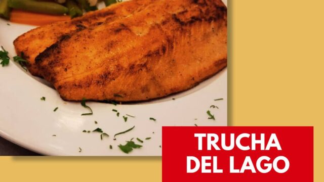 486799228_971114358543690_6874974528281150339_n