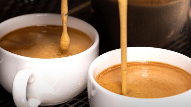 487237759_1069850965175869_5023503287422881741_n