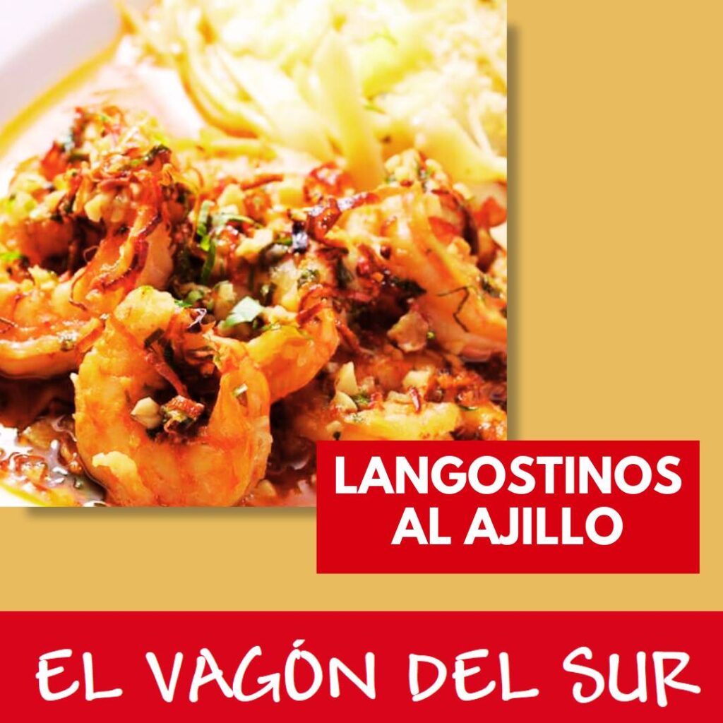 487409856_971114738543652_6381733433181473701_n