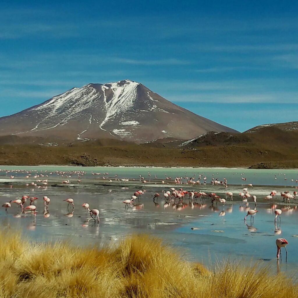 487824637_1455465375705075_6999846356378982385_n