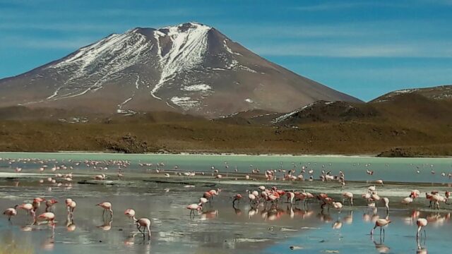 487824637_1455465375705075_6999846356378982385_n