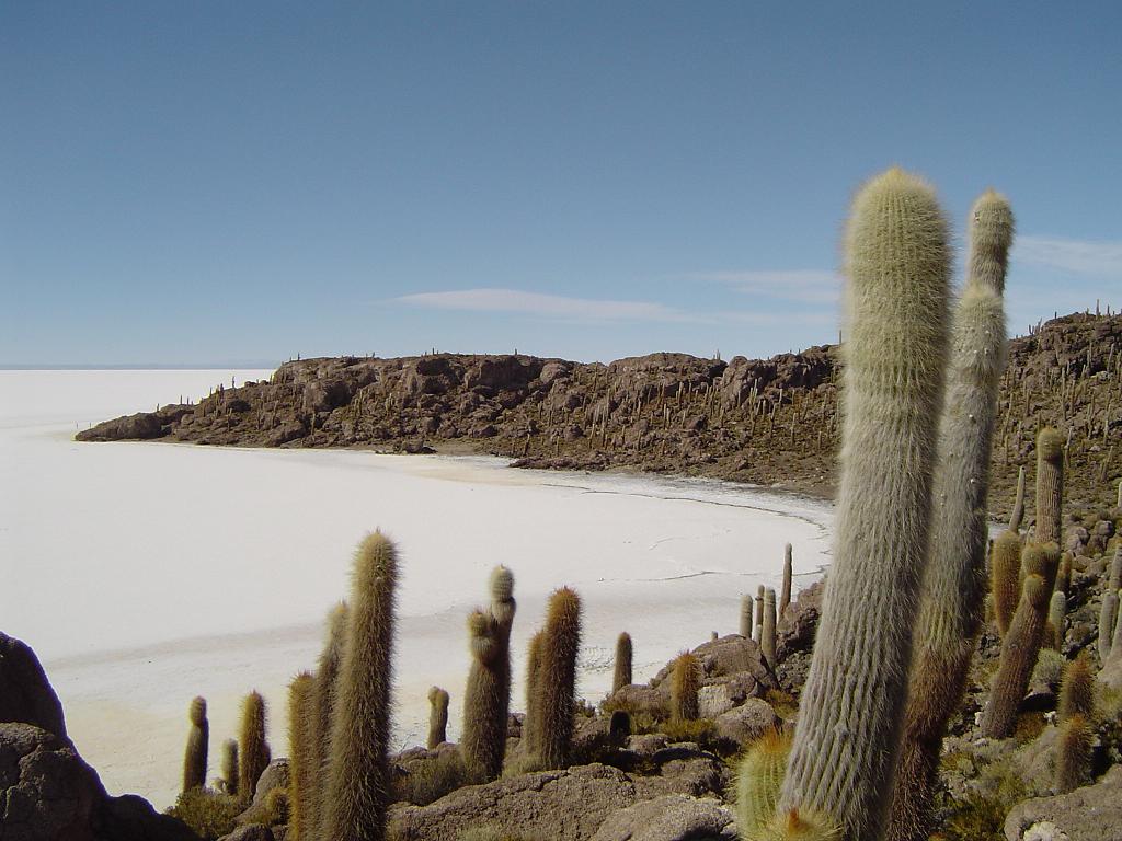 489027014_1458744552043824_1129284167320510507_n