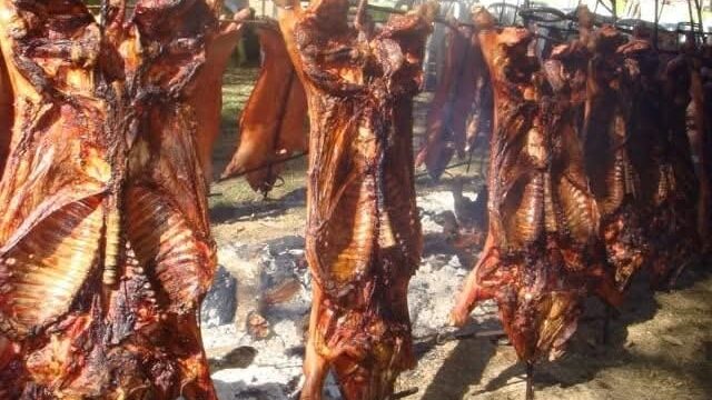 489436514_1154079716728593_6865685408929833974_n