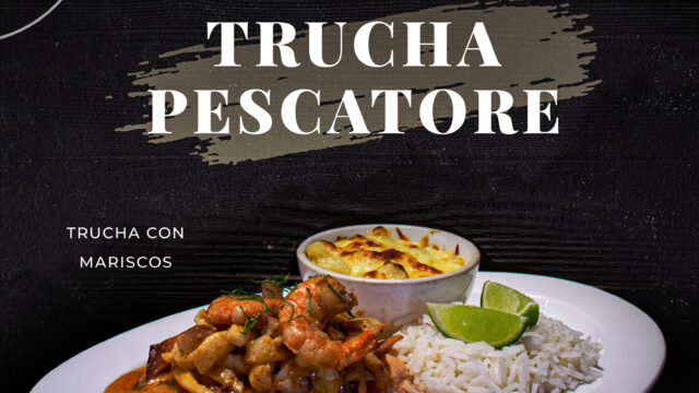 489529358_1237016158429908_8140898349197970393_n