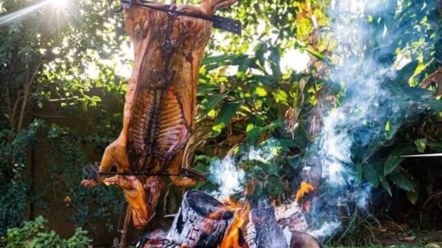 489557306_1154079400061958_7355419374193738261_n