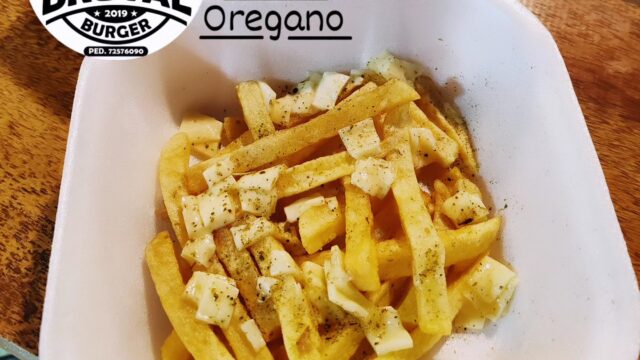 489820222_1276041107854662_9002152764894180654_n