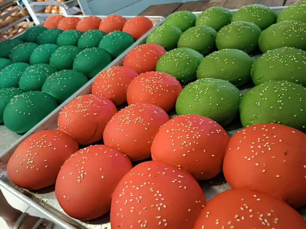 490223594_1255032679962882_6563975361237064127_n