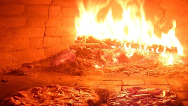 490271684_3985056625077055_8887520484114321909_n