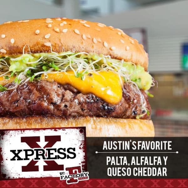 490534445_1259392602862923_5889790305129247628_n