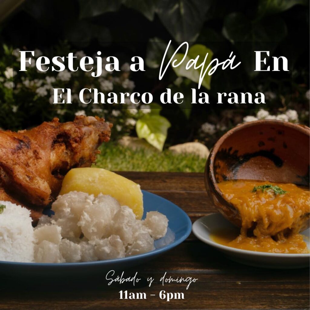 490709503_1187165396440757_7328895756456053799_n