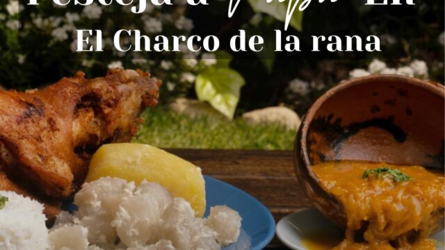 490709503_1187165396440757_7328895756456053799_n