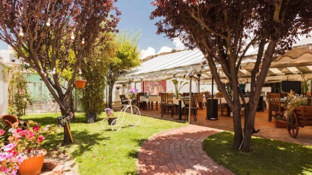 490741494_1197269192409636_1049627820393745113_n