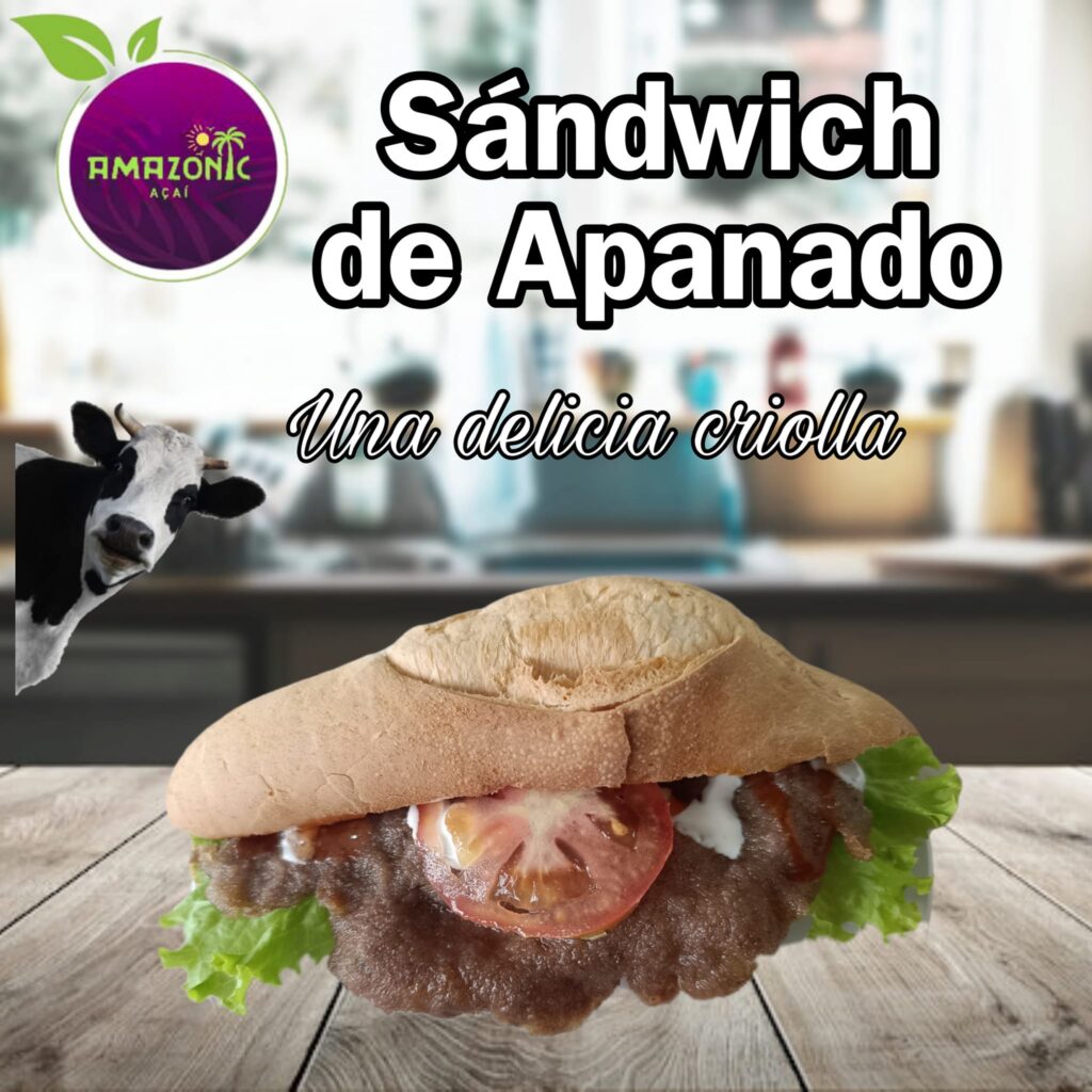 490798350_1311431353709348_9001514384324944126_n