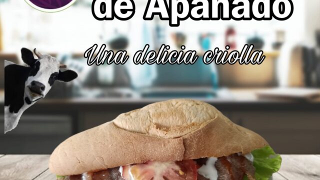 490798350_1311431353709348_9001514384324944126_n