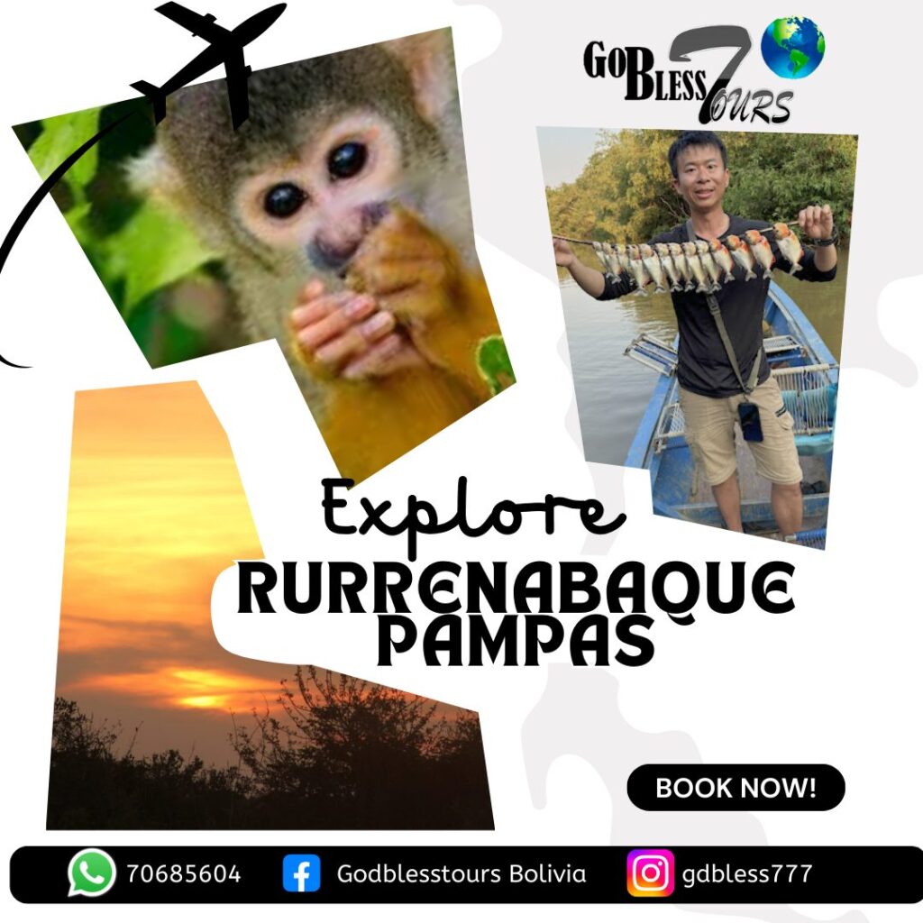 491232896_1091387283033168_5387385985851633580_n