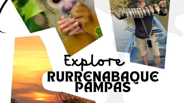 491232896_1091387283033168_5387385985851633580_n