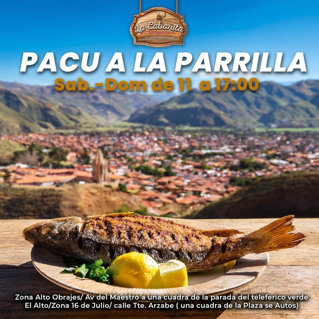 491266822_1596244484641860_8092428261910756070_n