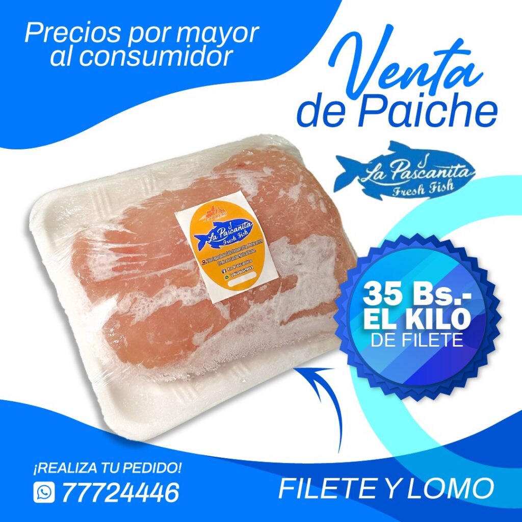 492007027_1287434436715535_5182401651404808836_n