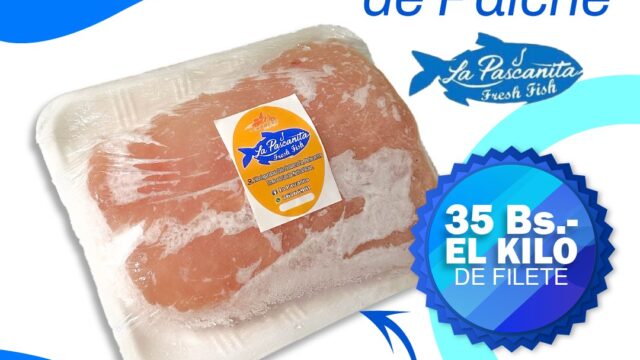 492007027_1287434436715535_5182401651404808836_n