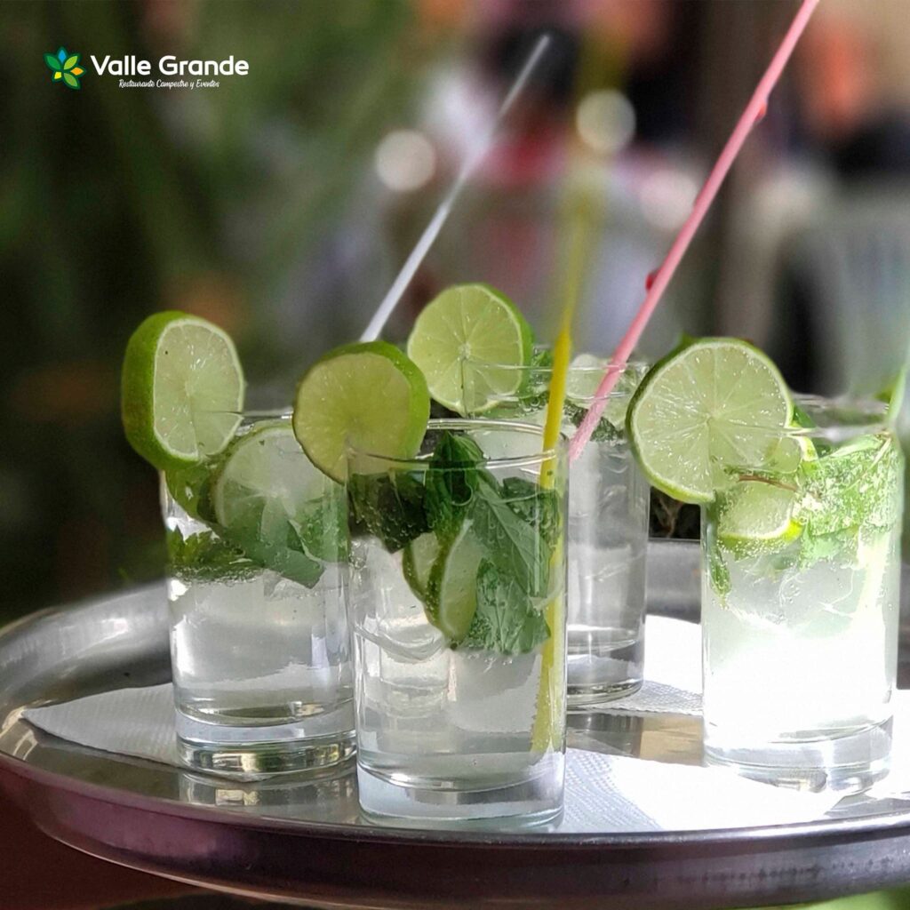 492078554_1307033630935135_2440368903515153328_n