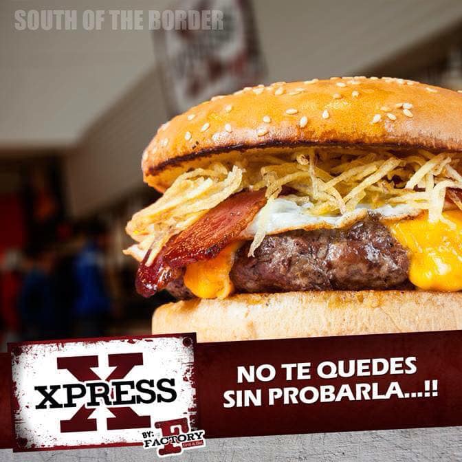 492096601_1273034614832055_770213313529349982_n