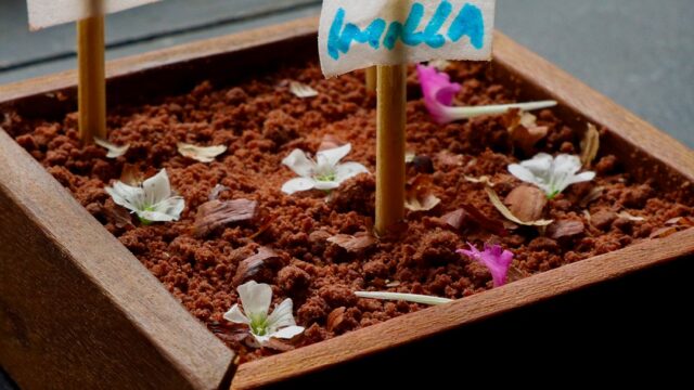 492109805_1119177003557133_5383868074200833094_n